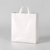 Hard plastic bag with carrying handles