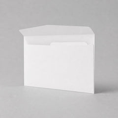 Cardboard envelope with carrying handle