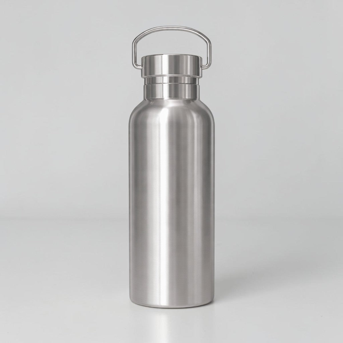 Stockka silver stainless steel insulated water bottle with D-ring handle, 800ml capacity, BPA-free.