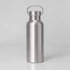 Stockka silver stainless steel insulated water bottle with D-ring handle, 800ml capacity, BPA-free.